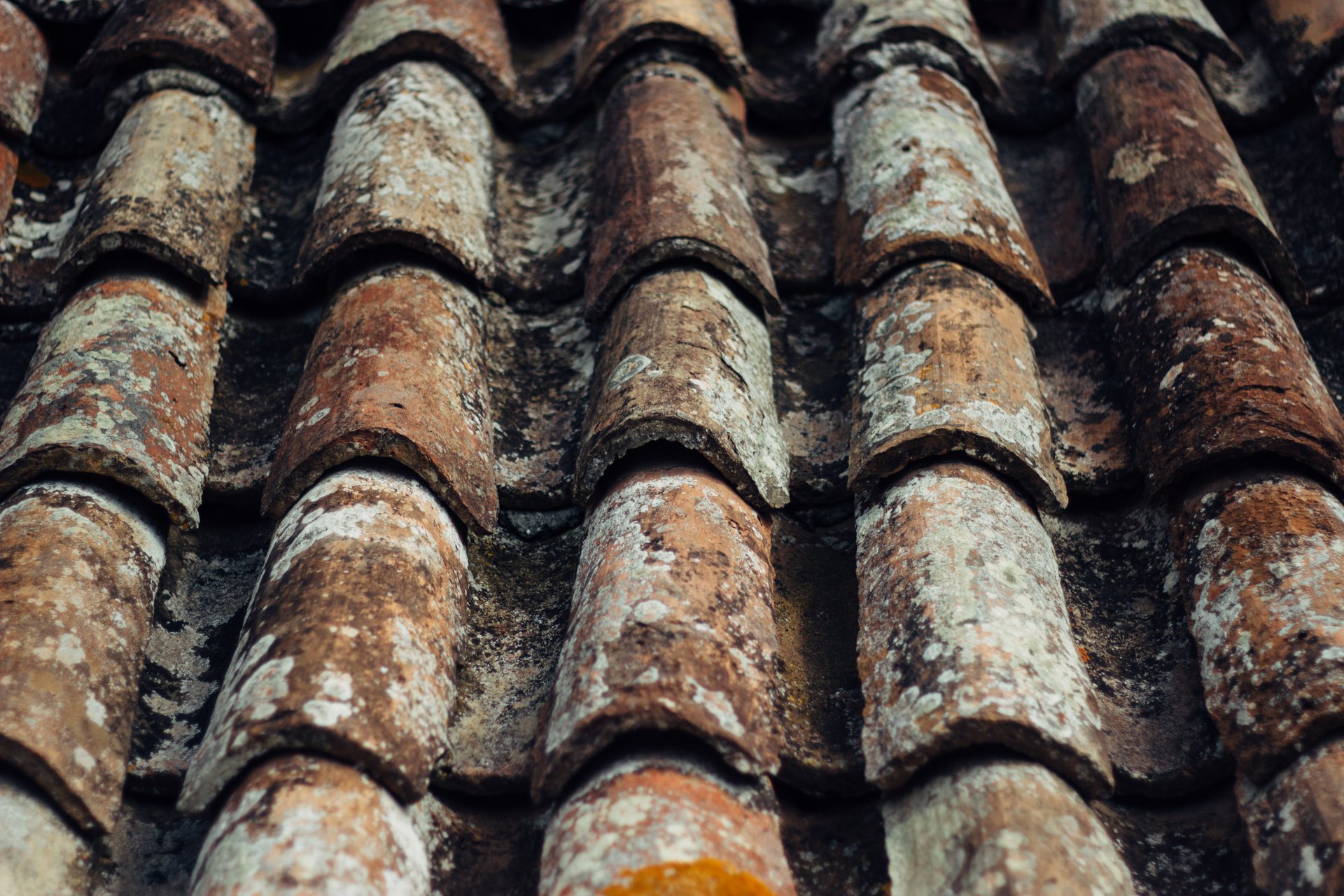 Roof repair and maintenance