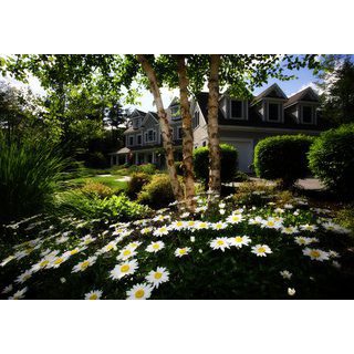 Landscaper