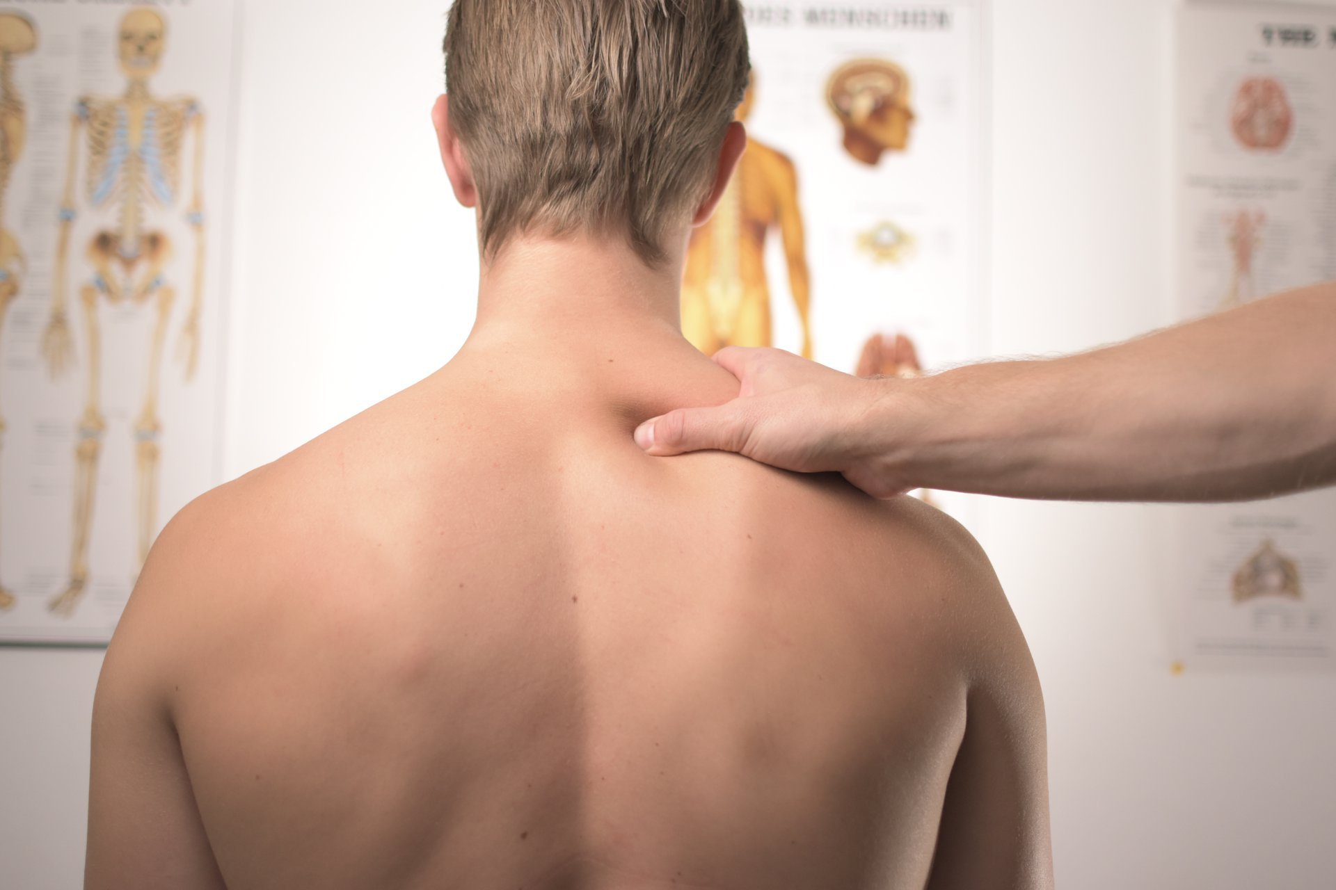 Physiotherapist