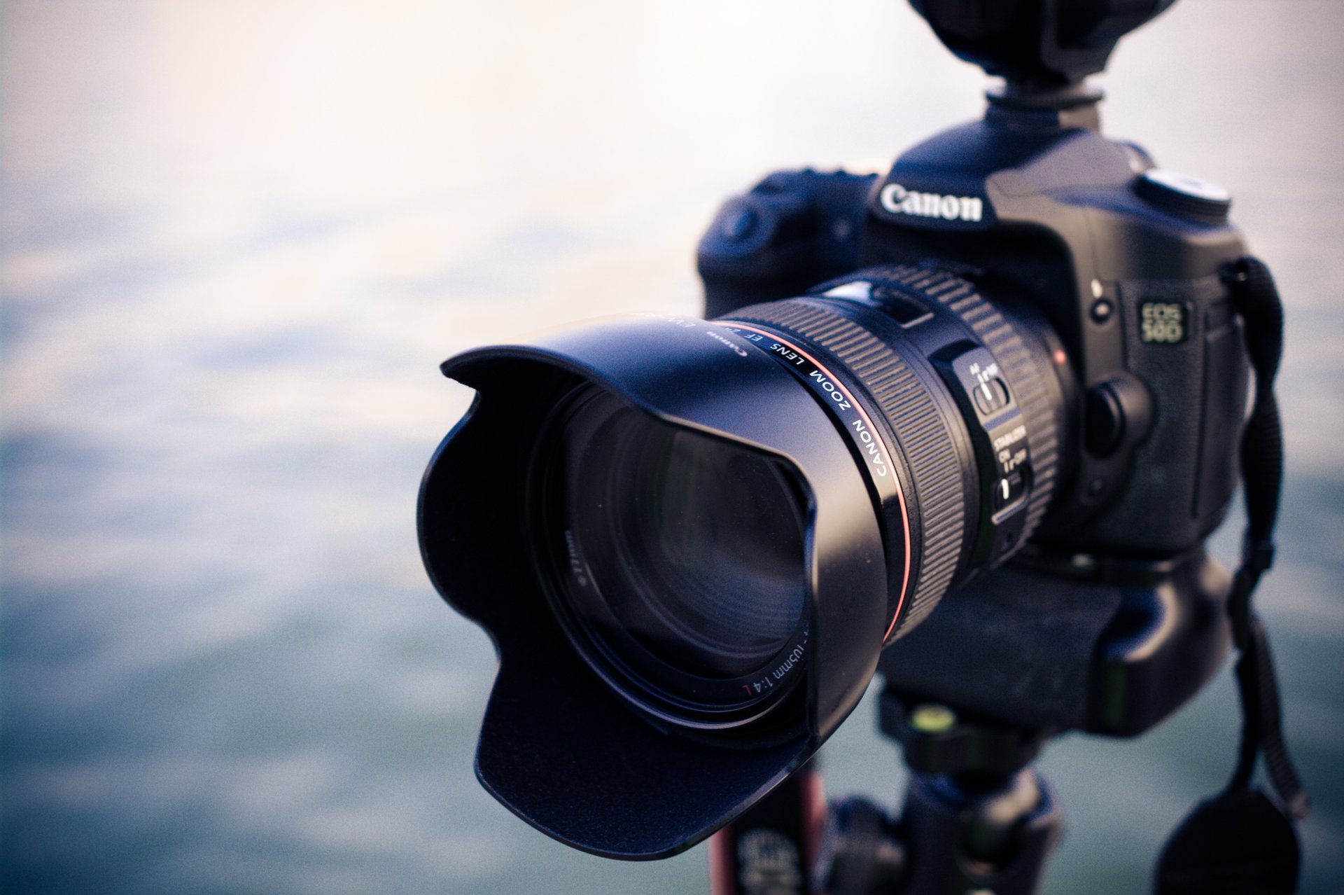 Portrait photographer