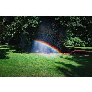 Garden maintenance