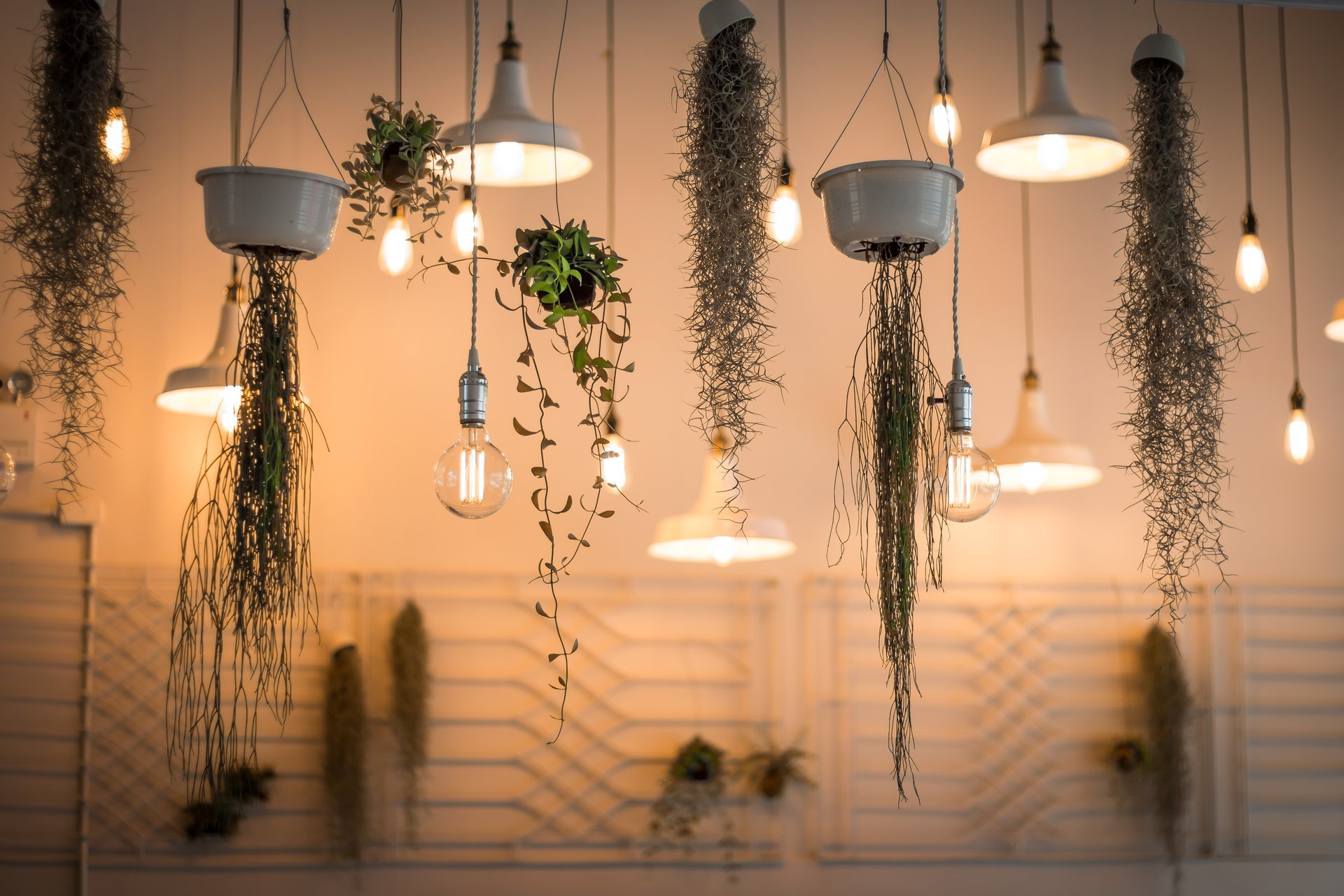 Lighting installation