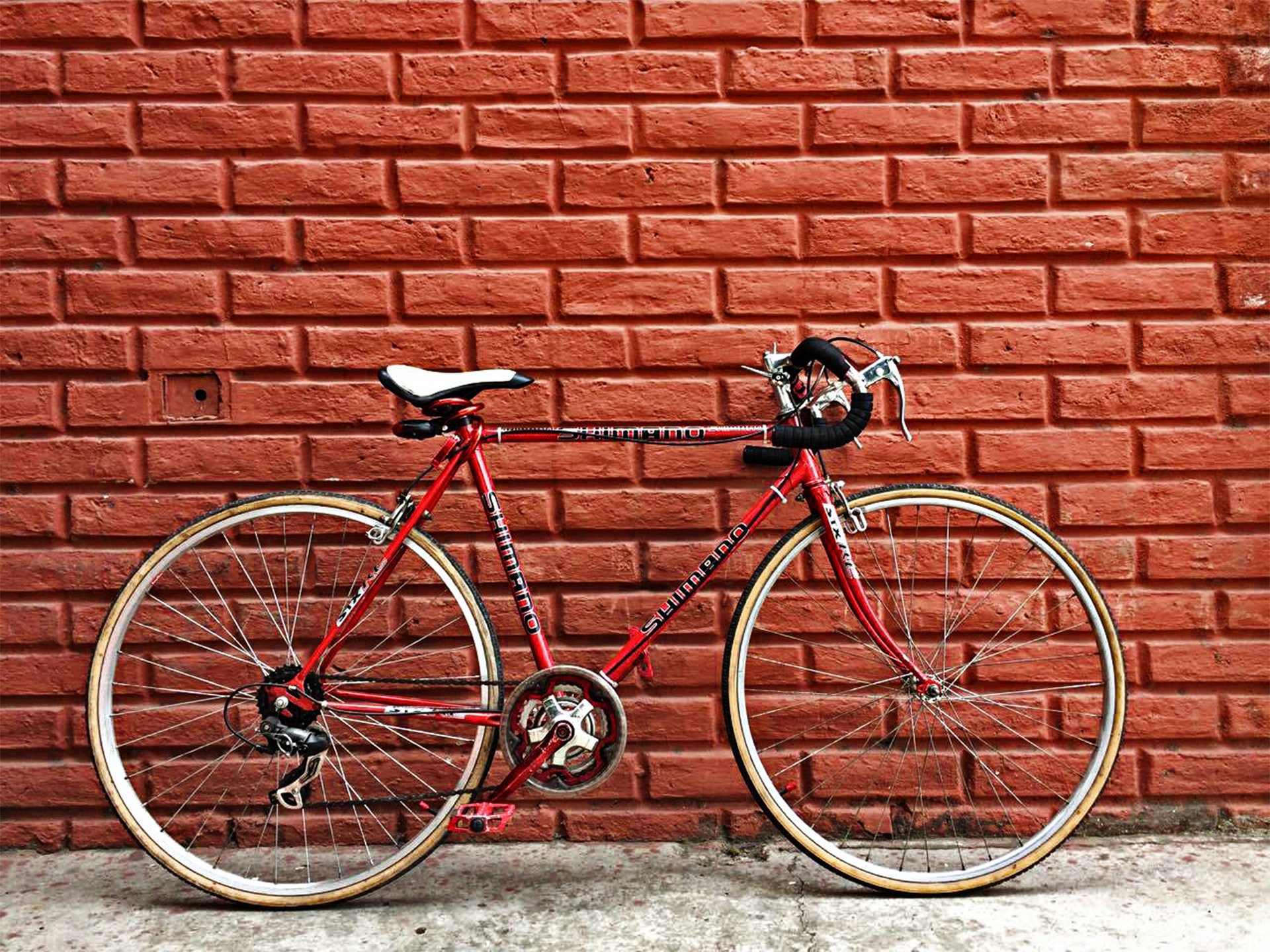 Bike repair