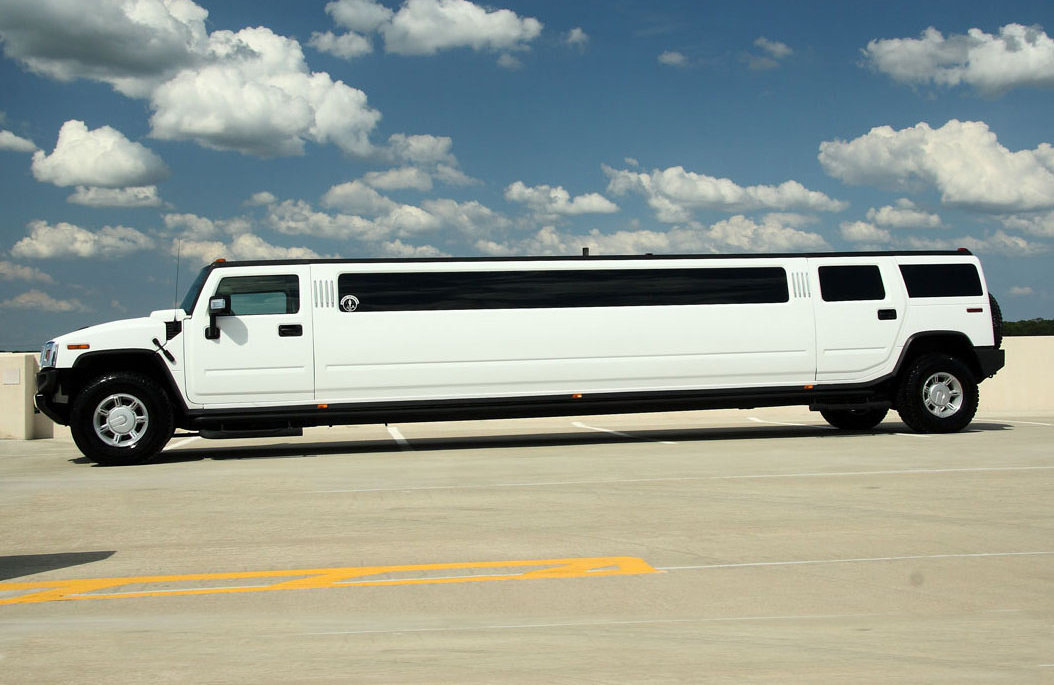 Limousine with driver